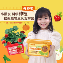 悦小萌亲子种植小盆栽幼儿园迷你农场学生植物生长观察盒老师推荐