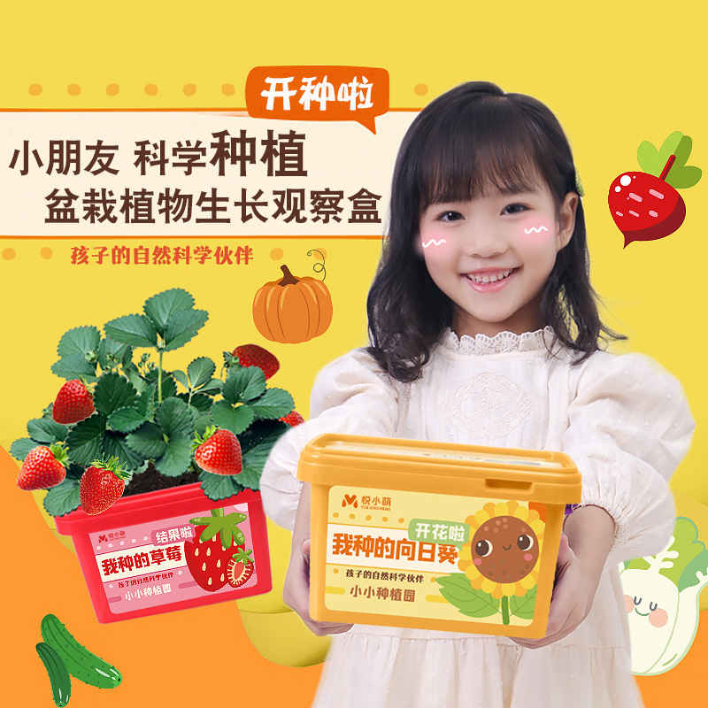 悦小萌亲子种植小盆栽幼儿园迷你农场学生植物生长观察盒老师推荐