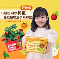 Семья Yue Xiaomeng выращивает небольшие горшечные растения, детский сад, мини-ферма, студенческая коробка для наблюдения за ростом растений, рекомендованная учителем