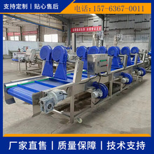 酸梅桃干杏干翻转风干设备 辣椒除水风干机 西红柿自动清洗风干线