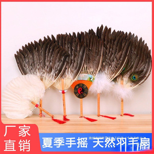�S��ֱ�N��ë�������y�Zë�Ȍ����ȿ�ȸ�ȃ�ͯ�����T�������ӟo
