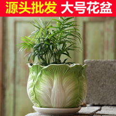 花盆陶瓷帶托盤蝴蝶蘭發財樹多肉花盆大號特大號綠植小花盆