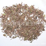 地稔,地菍,山地菍,地茄,地红花,中药材野牡丹科植物地菍的全草