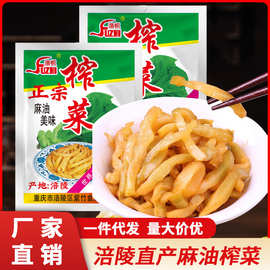 重庆涪陵麻油榨菜丝去皮清爽香脆清淡不辣小袋装开胃咸菜40g批发