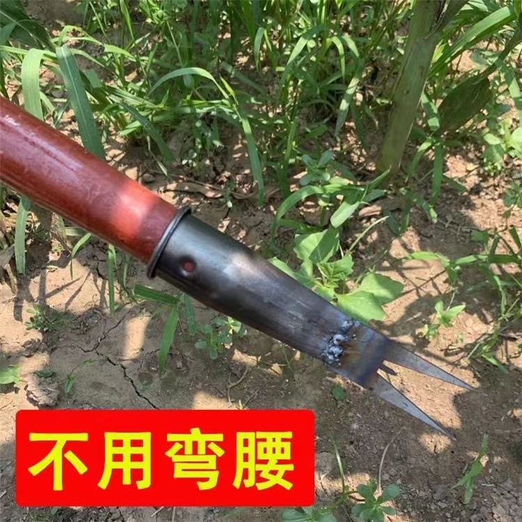 9742c33e-6065-4608-853c-0e6d7e