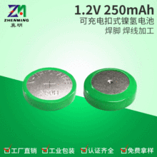 250HŦ۵΢ԿҡͲ250mah1.2Vɳ