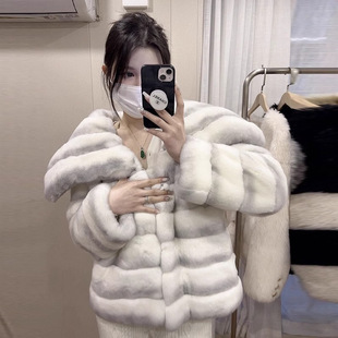 2026���¿�߼���&ldquo;�׸���&rdquo;���|С������؈�̿�Ƥ��ëë����Ů