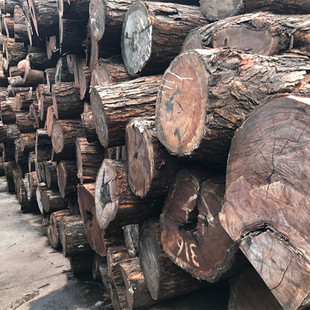 �M�ڷ��޼t�F��ԭľ ���޼t�F���Ҿ߲� ������֦ ����