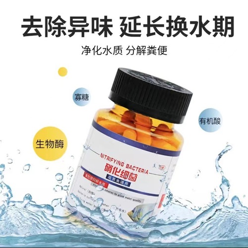 Nitrosomonas Bacteria Capsule Aquarium Water Purifier Water Stabilizer Concentrated Dry Powder Bacteria Nitrosomonas Capsule