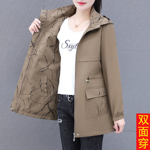 ���L���L������Ů����2025�¿�����eС���������p�洩�A������