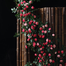 玫瑰假花藤条空调下水管道遮挡墙面吊顶装饰塑料植物藤蔓缠绕