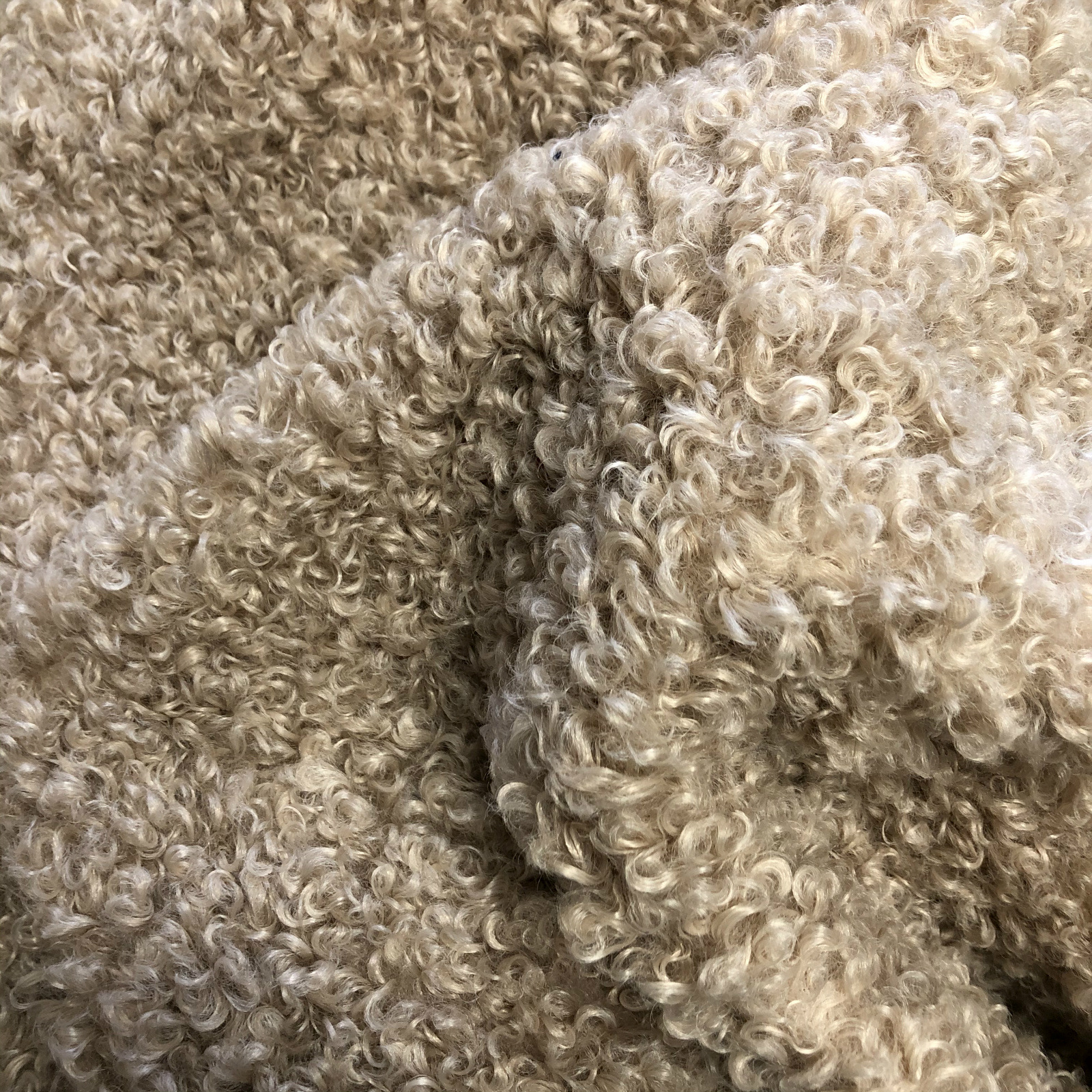 Cajurro de cabra tigrado de cabra imitación de peluche de cabra abrigo abrigo tela de peluche