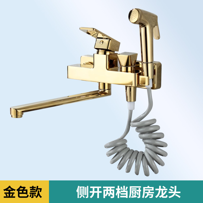 Grifo de pared uno por uno, lavabo de baño de agua fría y caliente, balcón, cocina, pistola negra, lavabo de verduras dorado gris