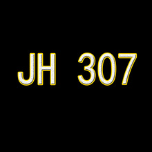 JH 307Rdվ羳WQeŮb rӡɼb