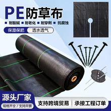 跨境防草布除草布耐用果园果树遮草盖草布可打孔防草布加厚防老化