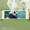 Panda 161