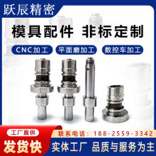 模具标准件精密非标零件加工 镶针镶件模芯模仁 塑胶注塑模具配件