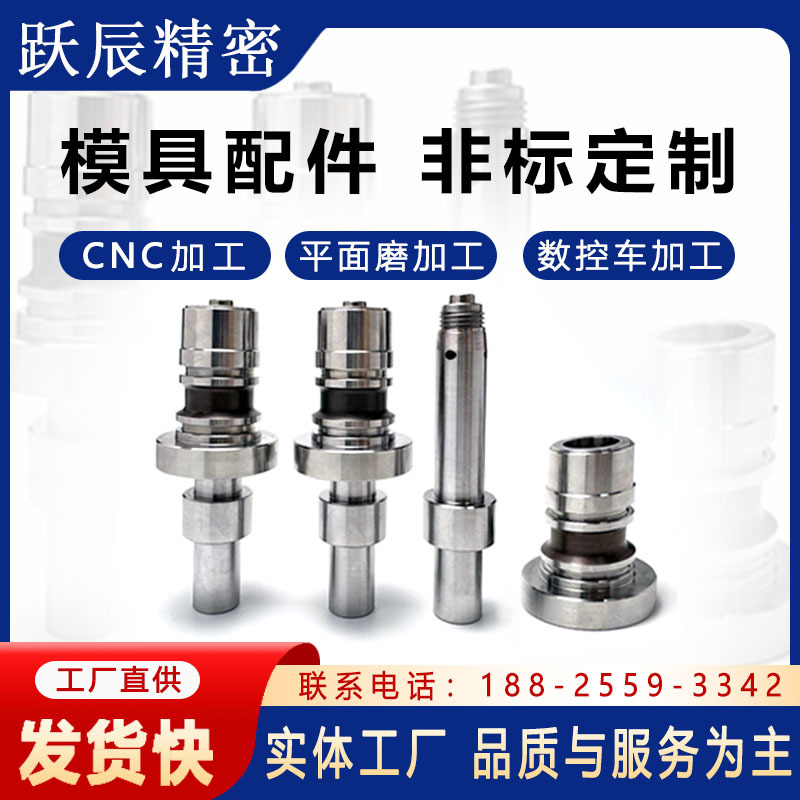 模具标准件精密非标零件加工 镶针镶件模芯模仁 塑胶注塑模具配件