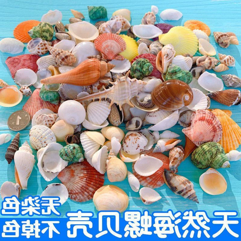 Aquarium decor, materials set for swimming, starfish