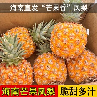 ����̨�r23̖â���P������֭���r���}�P�����ش�