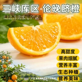 橙;柑桔;服务商品