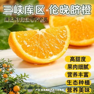 ���rˮ�����ӂ���Ě��Դ�^�a�ع��S���l����������̴��lե֭ˮ��