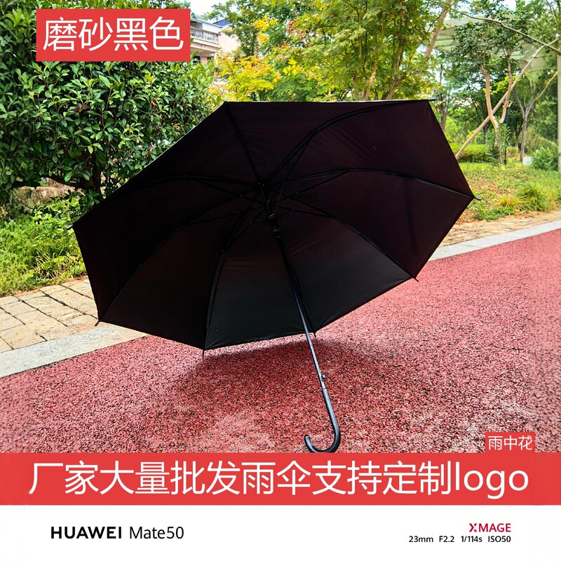 Transparent Umbrella Frosted Black High-End Ins Style Small Clear Men and Women Same Style Long Handle Umbrella Disposable Umbrella Wholesale