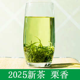 2025新茶蜀茗润四川雅安绿毛峰茶叶散装明前绿茶500g散装绿茶