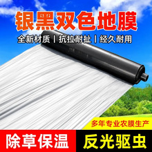 rüӺypɫĤݱطxNֲNسϱĤx