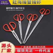 �s���A�Ӳ�з�A�s���A���LС���r�A���S�X�A���q�A�������A��