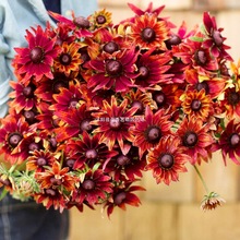 ���ę��Ұ��m�ؾշN�Ӻڟ��Kɺ�����޸����۾ն������̨���ԬF؛