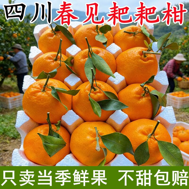 Authentic Sichuan Chunjian Pomegranate 5kg Pack Seasonal Fresh Fruit Directly Shipped from Meishan Origin Official Flagship Store
