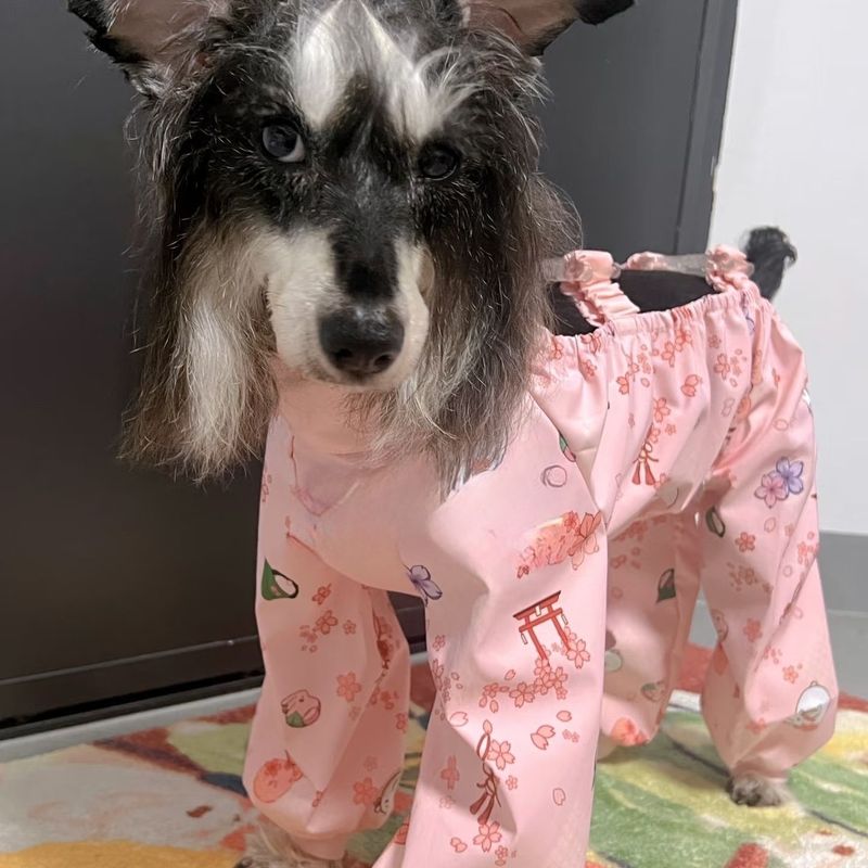 狗狗防尘裤遛弯裤春夏防脏防虫轻薄四脚裤腿套护腿小型犬春夏衣服|undefined