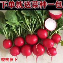 ˮС}N ļ߲ ̨Դ׷NZ