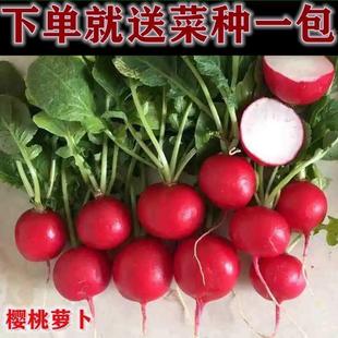 ����ˮ������С�}���N�� �������ļ����߲��� �̨���Դ����׷NZ