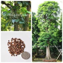 ²Ƀ|N xľN lľN ȸ ѿʸ