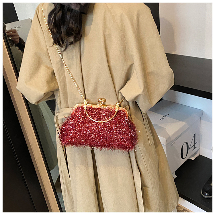 A trendy and fashionable women's 2024 autumn new chain crossbody bag, a Korean-style hand-held shell bag undefined