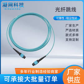 定制防爆尾缆尾纤光钎跳线矿数据机房万兆单模光纤跳线加工