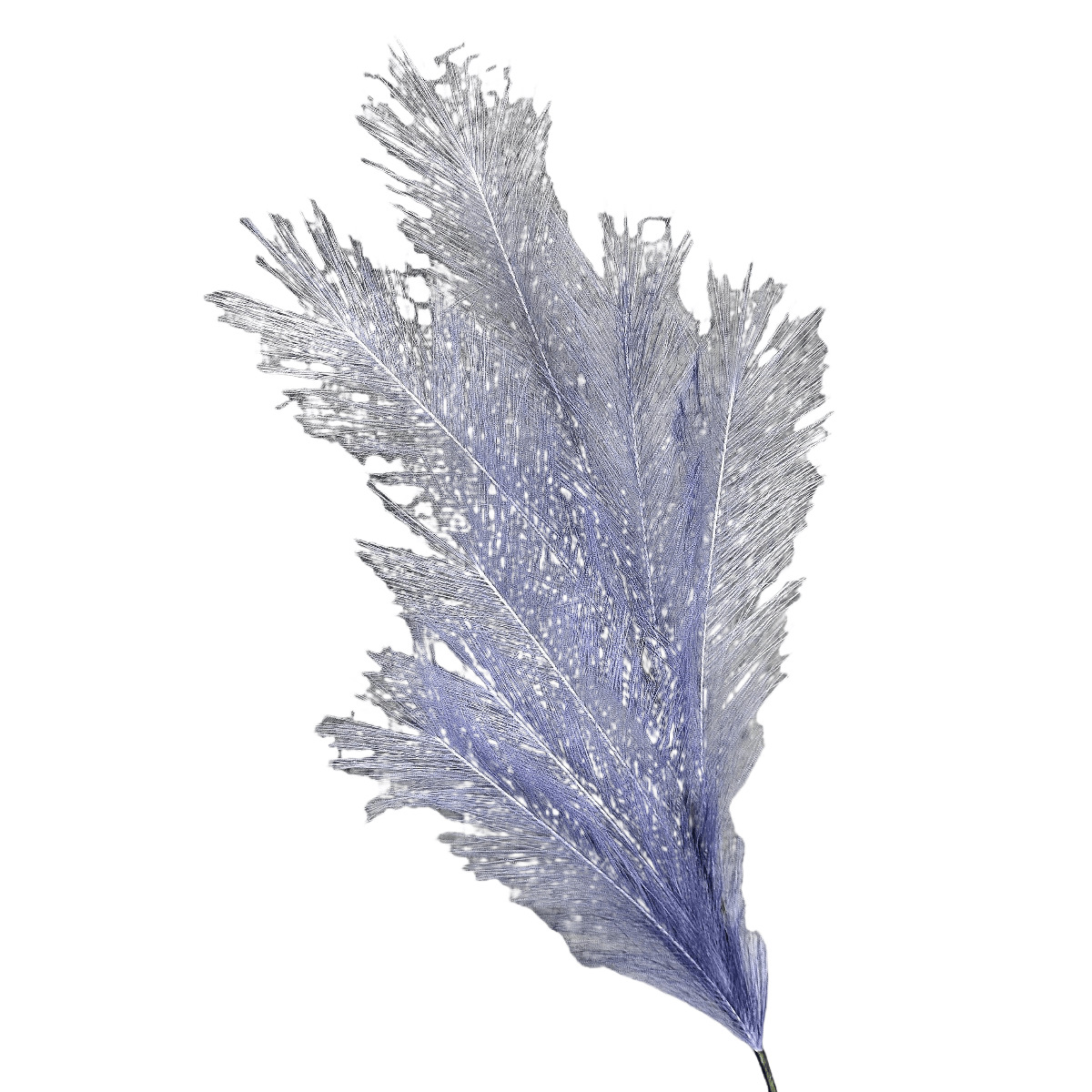 Simulación de 7 horquillas Pluma Flor eterna Decoración de la escena de la boda Decoración del hogar Hierba de junco de colores Decoración de flores falsas al por mayor