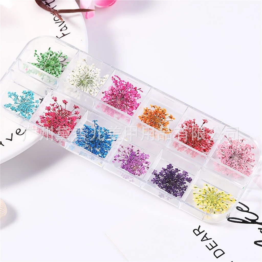 Mix-Dried-Flowers-3D-Dry-Flowe