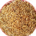 食用五谷虫500克无谷虫 干蛆 蝇蛆 水仙子店有蝼真货好货