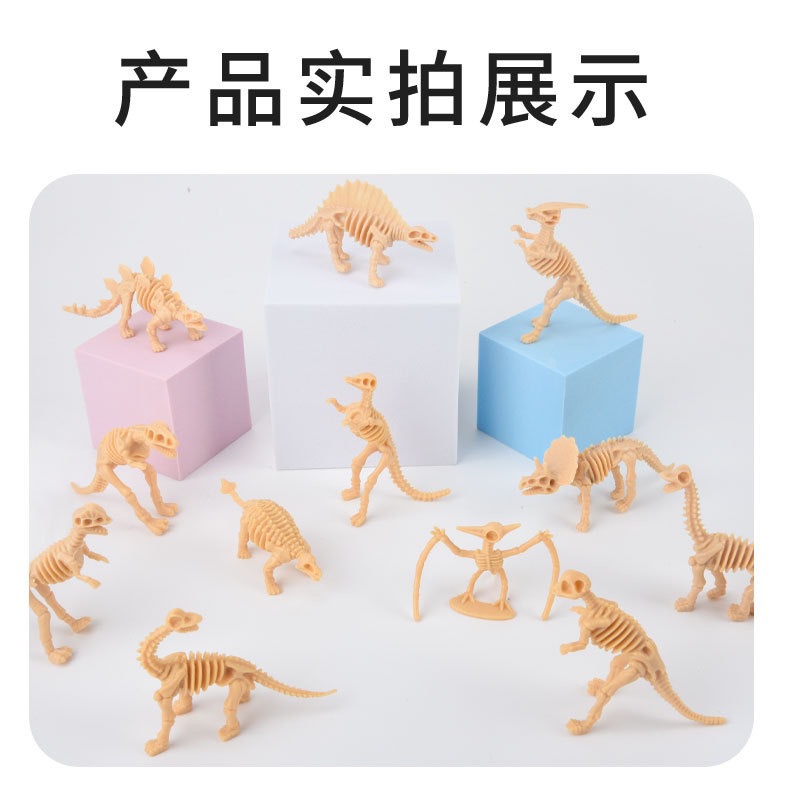 공룡 해골 12 (단일 가격)