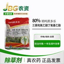 �h�Q�����80%ݬ����ɝ��Էۄ�50%����&middot;ݬȥ��ɝ��Էۄ����݄�