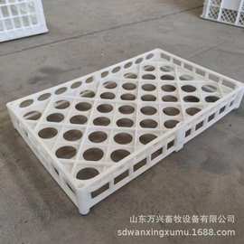 鸡蛋托盘厂家 蛋托图片 种蛋蛋托 厂家 万兴畜牧1件起批