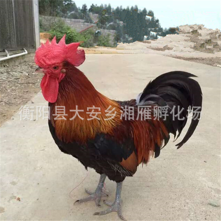 8dc2c6c451da81cb94b75d405566d0