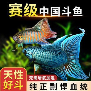 �Ї����~�^�p�~���~��С�~�ͻ���B�ԁ�ˮ��ˮ��ˮ�~����ԭ���~