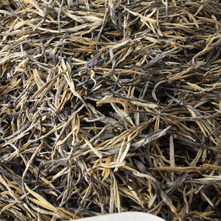 ����P�c��t ������l��l�t�� 2025��һѿһ�~��֦��� ����58