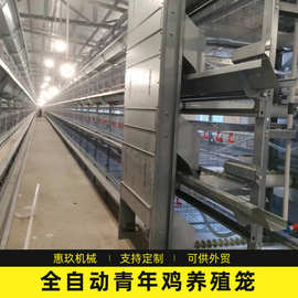 全自动青年鸡养殖笼养殖场农场养鸡用设备自动捡蛋清粪生产厂家