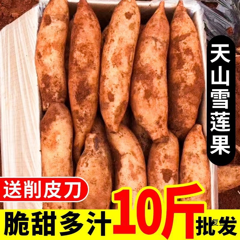 Yunnan Red Heart Tian Shan Snow Lotus Fruit 1-10 Jin Fresh Seasonal Fruit Wholesale Whole Box Free Shipping