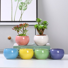 Ceramic Succulent Flower Pots, Small Planters with Holes, Fresh & Creative Indoor Desk Decorations—Wholesale